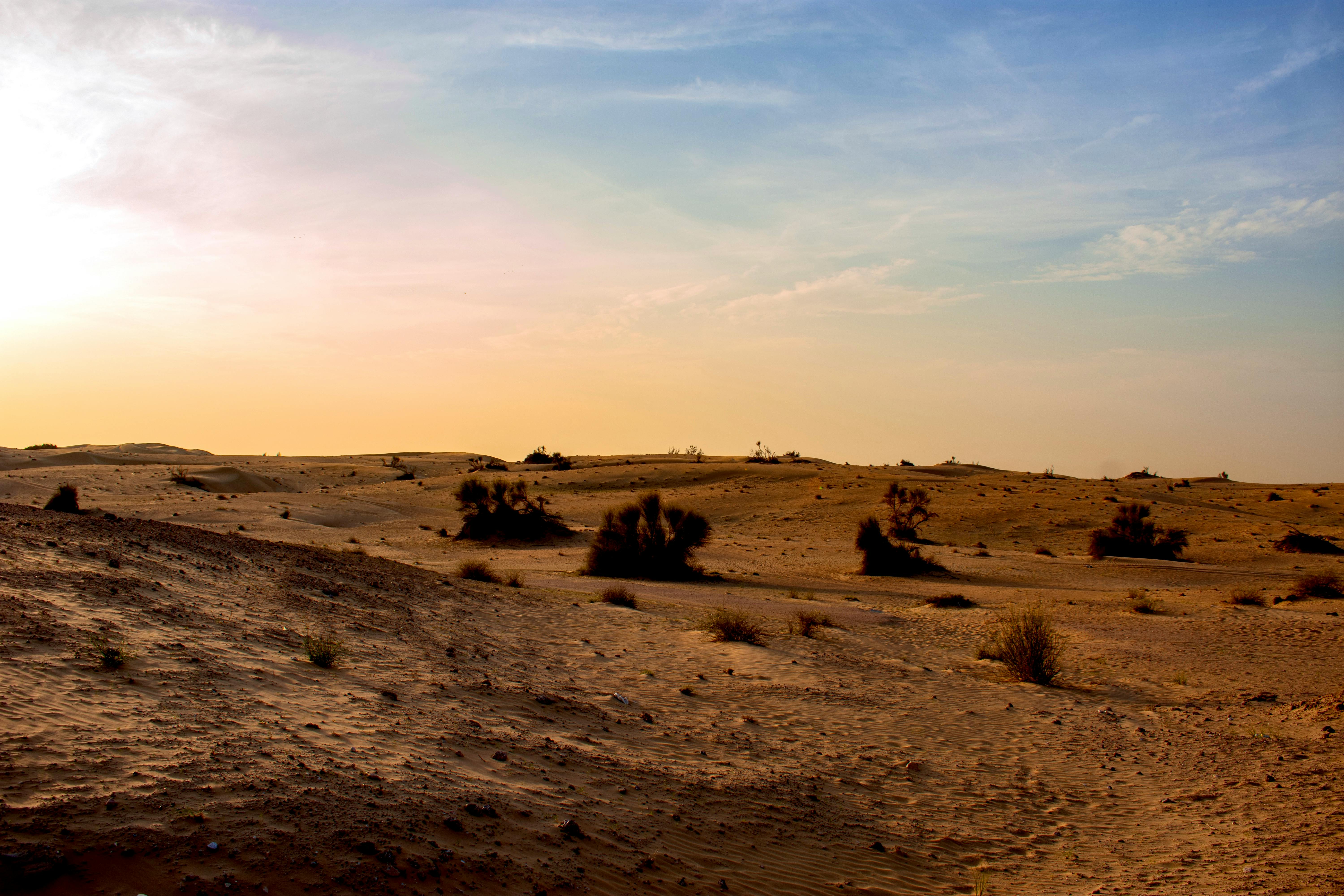 Landelijke Stijl Deur